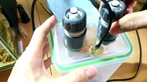 Как сделать мини внешний фильтр для аквариума своими руками.