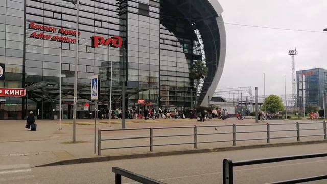 Глициния в Сочи, улица Взлётная Адлер смотреть онлайн