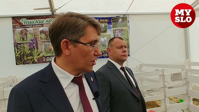 В Тульской области проходит всероссийская выставка коз смотреть онлайн
