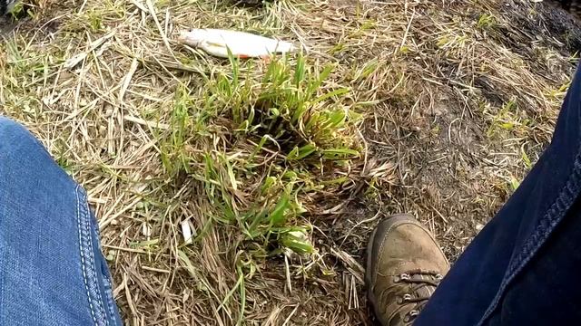 Весенний голавль. Ультралайт на малых реках. смотреть онлайн