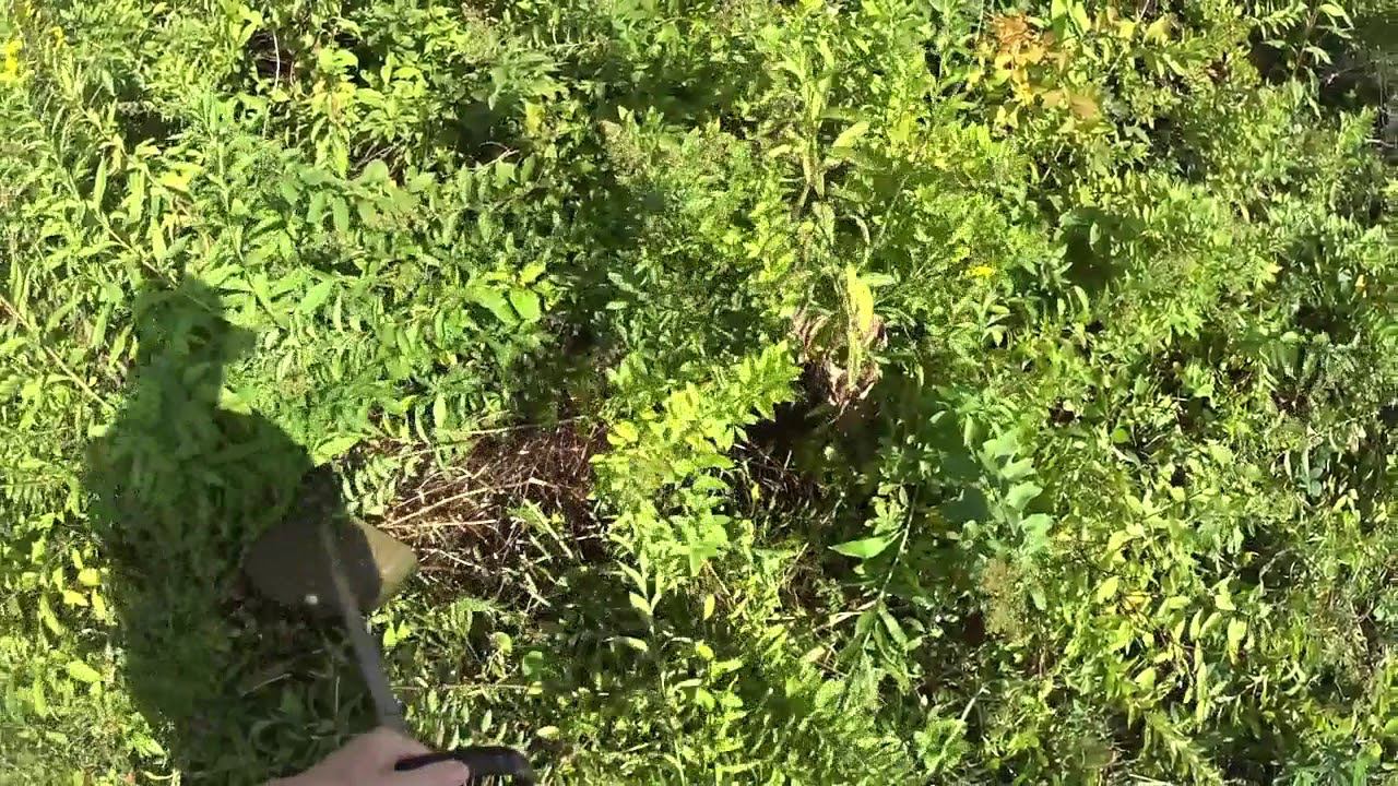 Как Косить Кусты Триммером смотреть онлайн