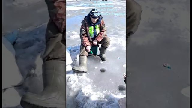 Зимняя рыбалка Рефтинская лягушатник смотреть онлайн