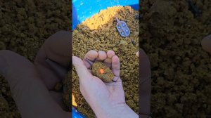 флэт фидер #рыбалка #fishing #флэтфидер #ловлякарпа #flatfeeder