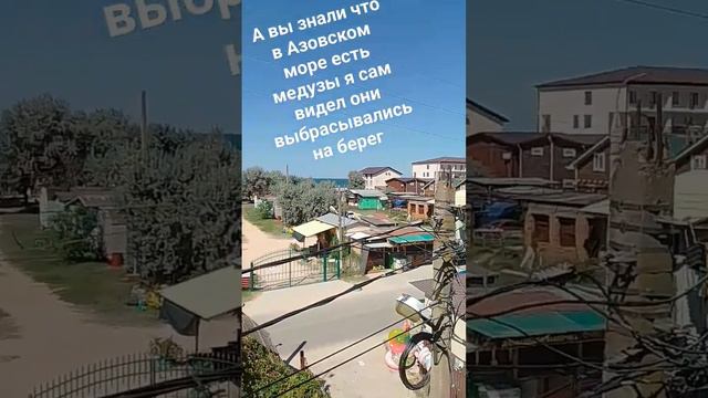 знали что в Азовском море есть медузы? #реки #азовскоеморе#море # красивыевиды смотреть онлайн