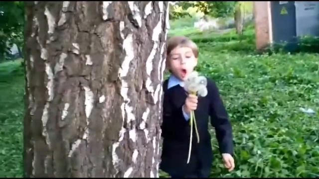" Разговор с одуванчиком" Автор и исполнитель Светлана Коробова, видео Ингвар Нитомак смотреть онлайн