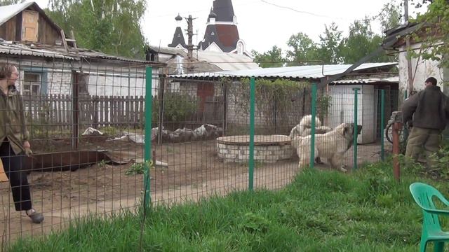 20120510165731.m2ts смотреть онлайн