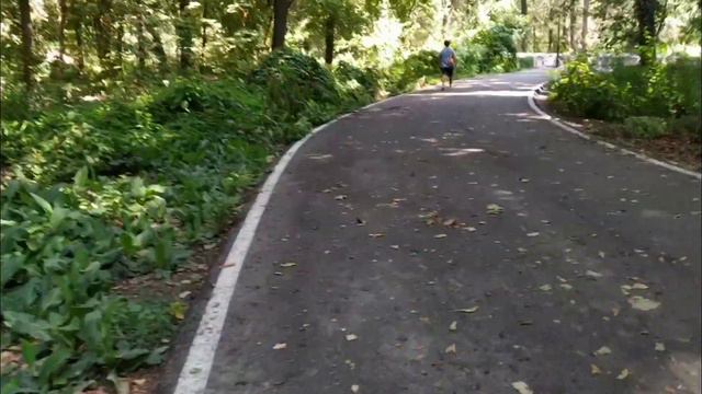 Прогулка по Ботаническому саду смотреть онлайн