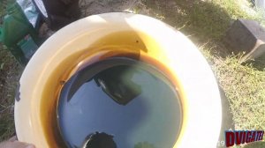 Заменил масло в редукторе Нева МБ23 на 4й год, #Dvigatel