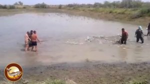 Рыбалка на бредень! Рыбалка бреднем! Лучшие моменты рыбалки на бредень! Супер улов!