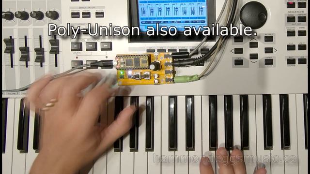 Pollen(8) - An 8 voice full featured synthesizer for your electro-smith Daisy pod! смотреть онлайн