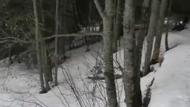 Snowshoe - harder March 3 2013 part 2 with snow safari.net смотреть онлайн