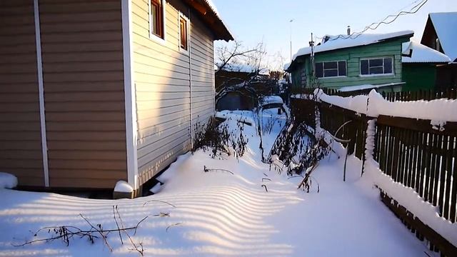 Летняя дача с кедром возле ЖД станции Бронницы в январе 2021 года смотреть онлайн