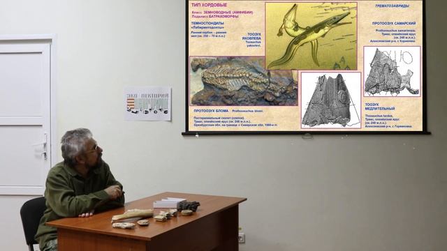 Ископаемые позвоночные животные Самарской области Эко лекторий 2022-22 Дмитрий Варенов смотреть онлайн
