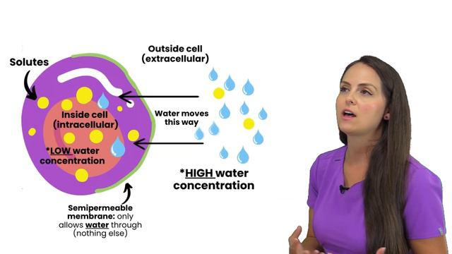 Cell Membrane Transport (Passive & Active) Diffusion, Osmosis, Hydrostatic Oncotic Pressure Colloid смотреть онлайн
