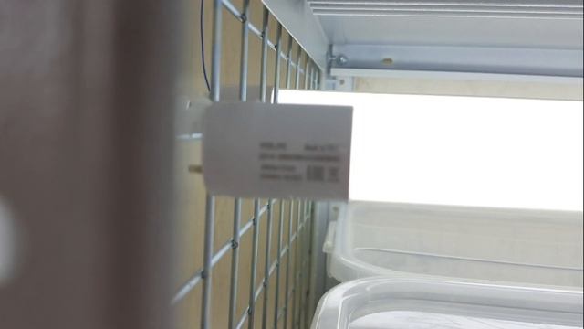 Большая Уборка в цветнике. День первый. смотреть онлайн