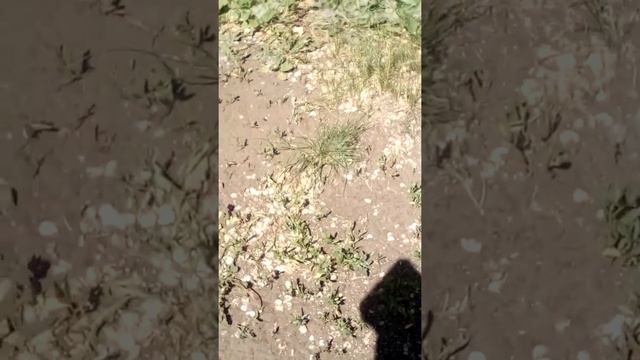 Пух горит смотреть онлайн