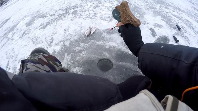 Попали на предновогодний жор подлещика и густеры. Ловлю на нестандартную снасть (гирлянда) смотреть онлайн