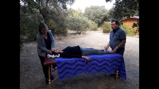 Les 5 idéaux du Reiki de Mikao Usui- Les Gokkaïs смотреть онлайн