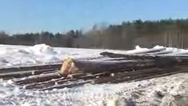 Делянка смотреть онлайн