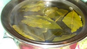 Лавровый лист для волос: навсегда прекратит выпадение!