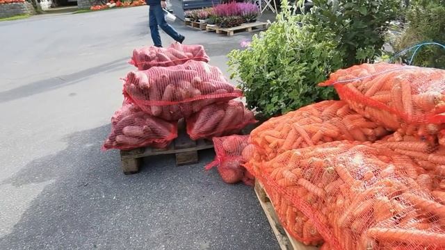 МОЙ ЛЮБИМЫЙ ОВОЩНОЙ РЫНОК | #278 смотреть онлайн