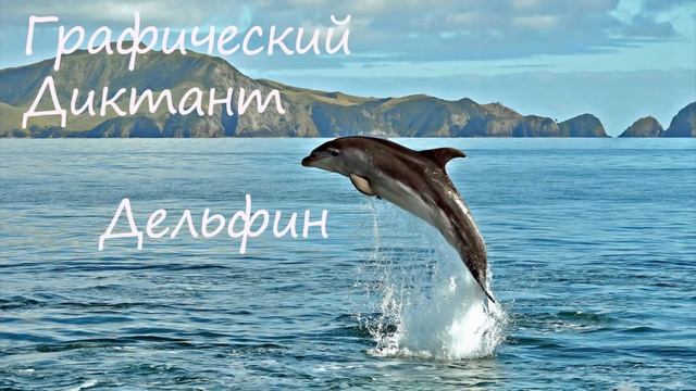 Графический Диктант Дельфин смотреть онлайн
