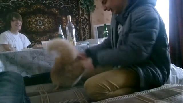 саня и котейка смотреть онлайн