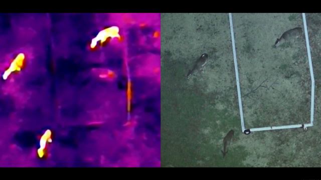 Mavic 3 thermal Jz T30 Spotlight test смотреть онлайн