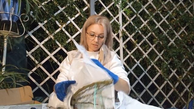 Vlog-196 Саженцы РОЗ из питомника ОЛЬГА-РОЗЫ. Как по мне, то лучший питомник1?????Обзор. смотреть онлайн