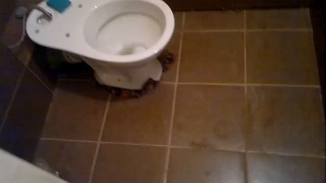 ложи плитки на ванну смотреть онлайн