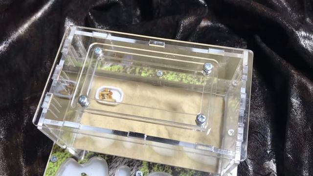 Урок 3. Организация арены смотреть онлайн