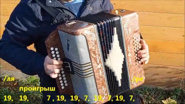 Дорожная (Эй, ямщик, поворачивай к черту!). Разбор на гармони смотреть онлайн