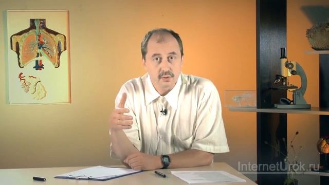 Типы растительных тканей. Продолжение смотреть онлайн