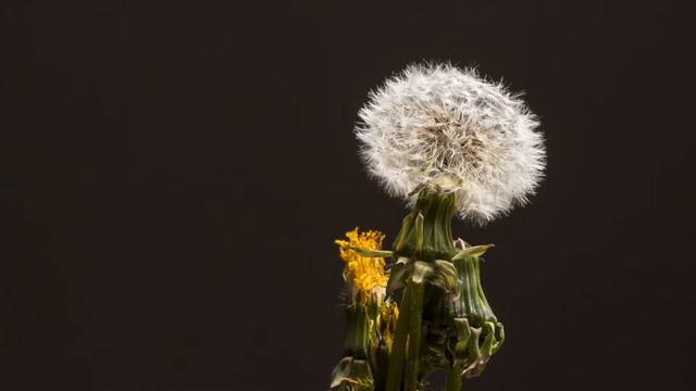 TRAVELING ON SOFA 2020 part 2 Beautiful music Our journey смотреть онлайн