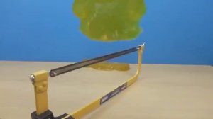 ОПЫТЫ НАД ЖЕЛТОБРЮХОМ.ЖЕЛЕЙНЫЙ МЕДВЕДЬ ВАЛЕРА. УДАЛЕННОЕ ВИДЕО