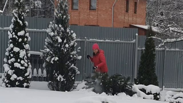 Тяжелый снег на хвойниках. смотреть онлайн
