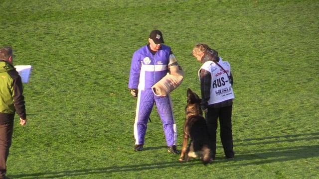 Карай, С на WM