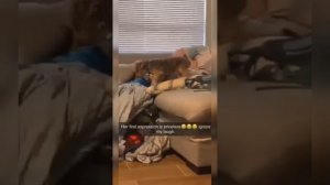 .trashed-1676408511-InShot_20230111_223119916