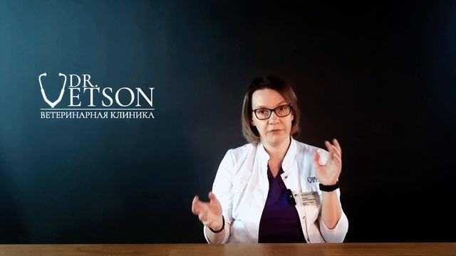 Падение кошек из окон. Как спасти питомца смотреть онлайн