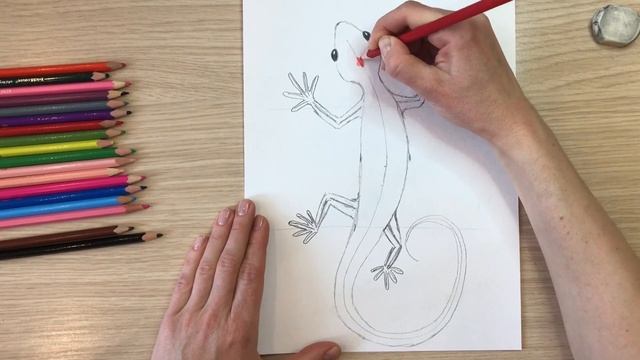 Ящерица рисунок. Как нарисовать ящерицу карандашом. Животные рисовать карандашом. Рисунки зверей смотреть онлайн