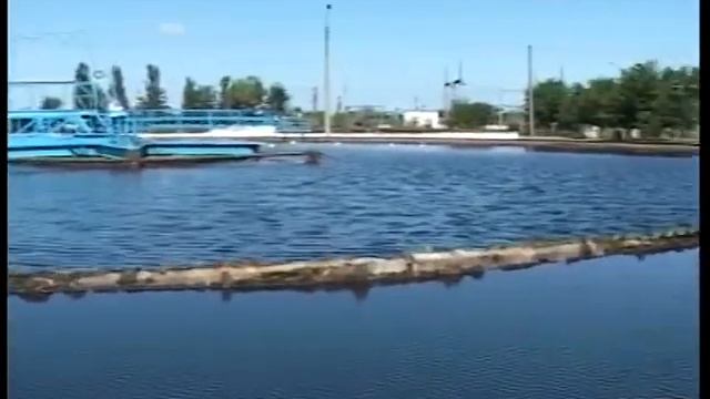 СБО Северная. Глубоководный выпуск смотреть онлайн