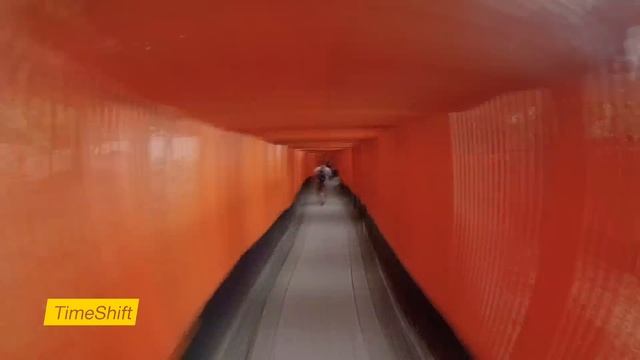 Insta360 ONE X - TimeShift смотреть онлайн