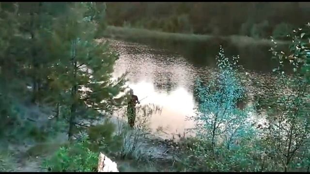НовоЛадожский Канал Отдых Рыбалка. смотреть онлайн
