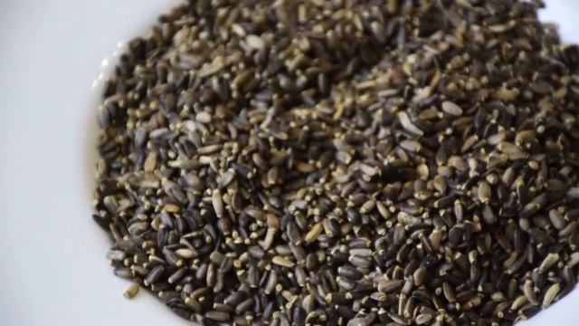 Фотоэпиляция: эффективное удаление волос на долгое время