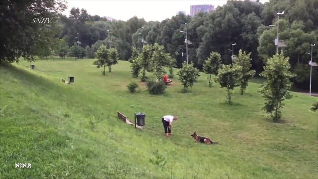 23. Для Вас Шикарная МУЗЫКА и Прогулка по Природному Заказнику Долина Реки Сетунь в Москве! смотреть онлайн