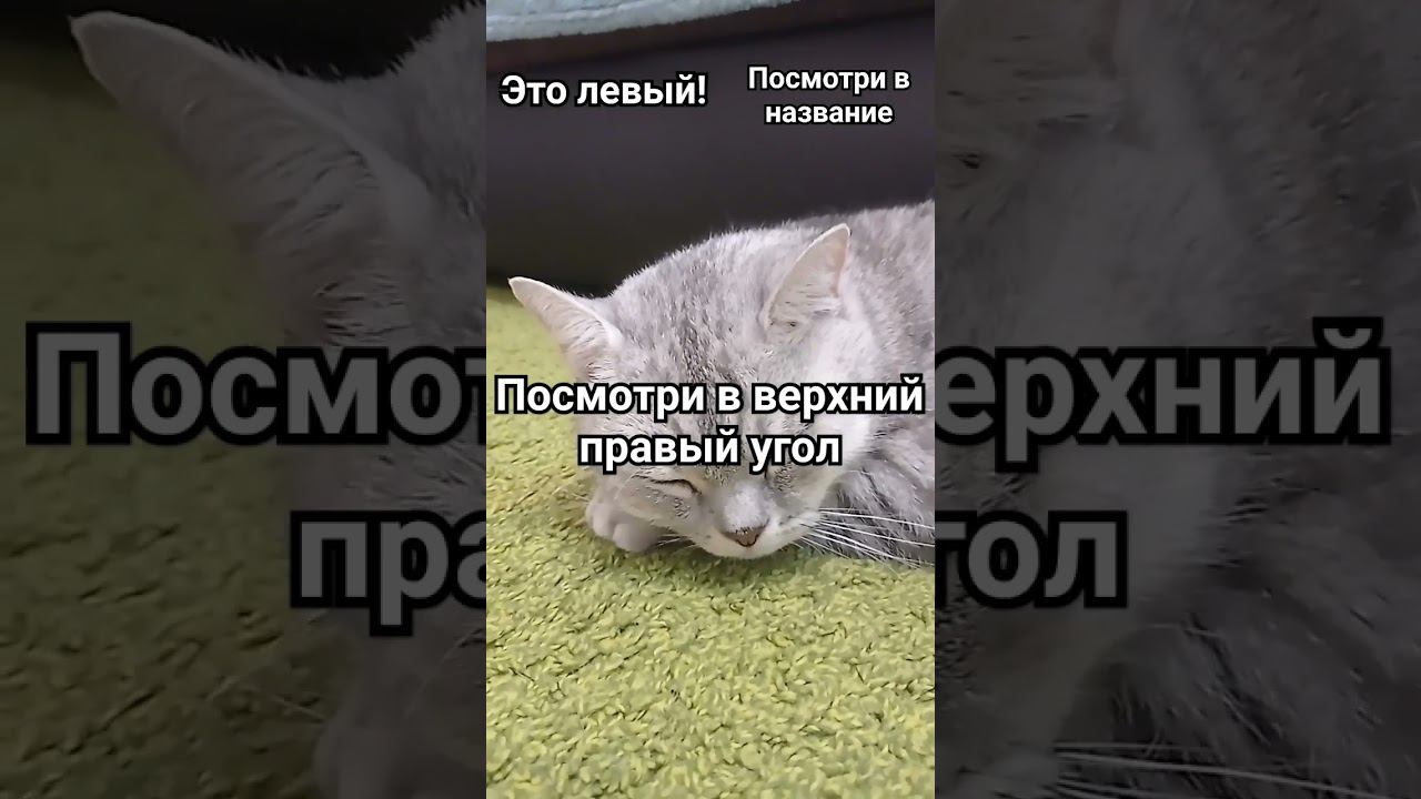 зайди в комментарии #short #рекомендации смотреть онлайн