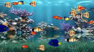 ВИДЕО ФОН АКВАРИУМНЫЕ РЫБЫ