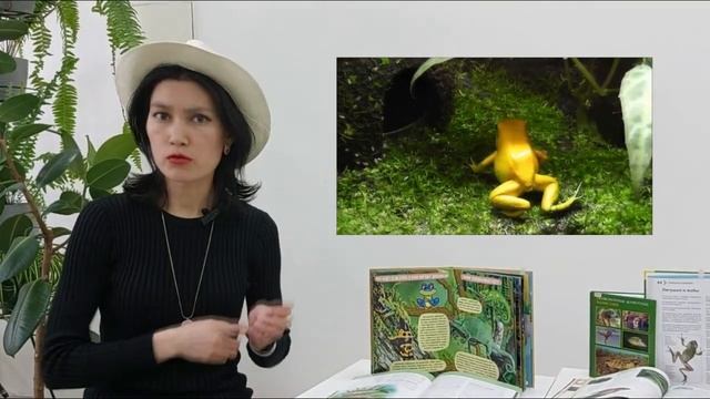 Детям о животных: Лягушки смотреть онлайн