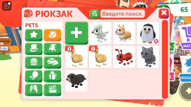 РАЗДАЧА ПЕТОВ! И ЛЕТАЕМ НА КОРАБЛЕ!!!