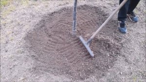 Приствольный круг плодовых деревьев, как правильно сделать и зачем нужен приствольный круг